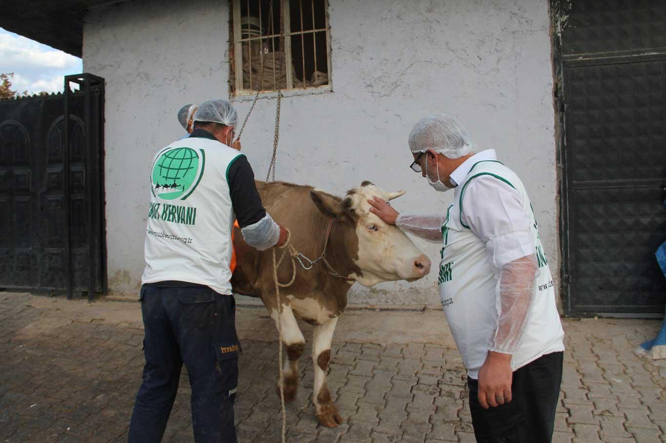Midyat Umut Kervanı yüzlerce yetim ve muhtaç aileye kurban eti ulaştırdı